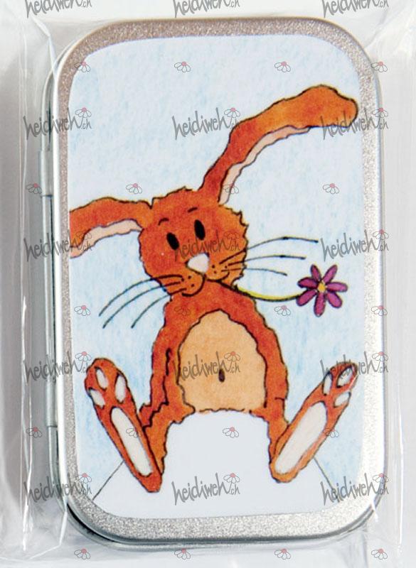 Kleinedingebox B08